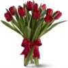 Radiantly Red Tulips