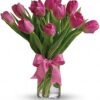 Precious Pink Tulips