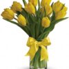 Sunny Yellow Tulips