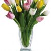 Tulip Treasure