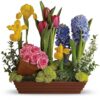 Spring Favorites
