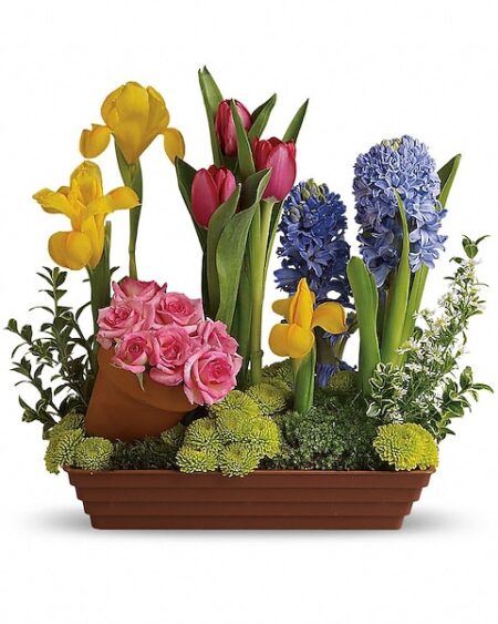 Spring Favorites