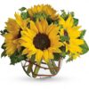 Sunny Sunflowers