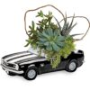 Chevy Camaro Plant Garden