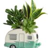 Cool Camper Succulent Garden