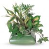 Small Garden Dish