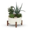 Desert Chic Garden