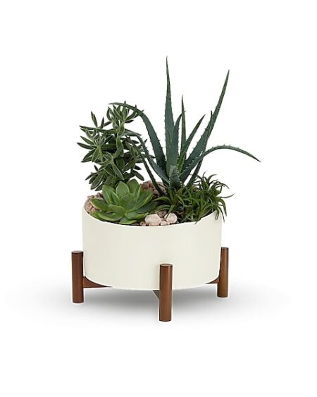 Desert Chic Garden