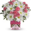 Polka Dots and Posies