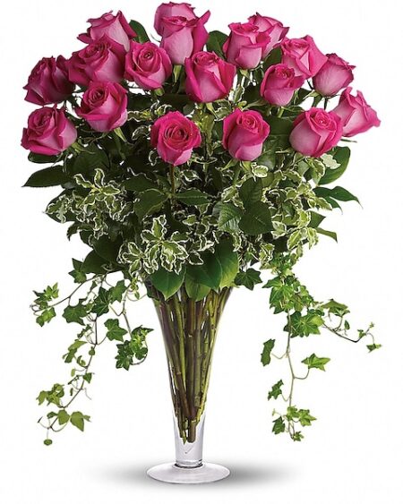 Dreaming in Pink - Long Stemmed Pink Roses