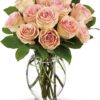 Delicate Dozen