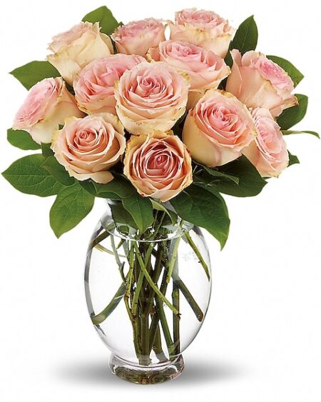 Delicate Dozen