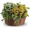 Basket of Joy