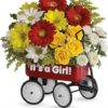 Baby's Wow Wagon - Girl