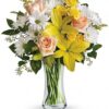 Daisies and Sunbeams