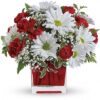 Red And White Delight