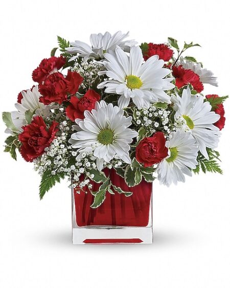 Red And White Delight