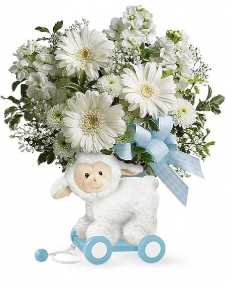 Sweet Little Lamb - Baby Blue