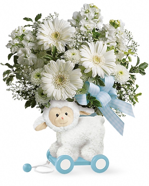 Sweet Little Lamb - Baby Blue