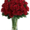 Love and Devotion - Long Stemmed Red Roses