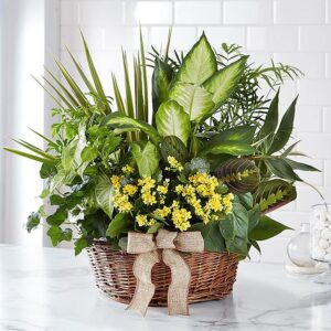 European Dish Garden