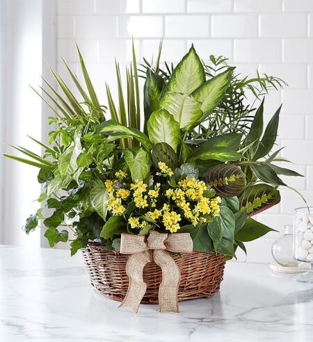 European Dish Garden