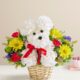 a-DOG-able in a Basket
