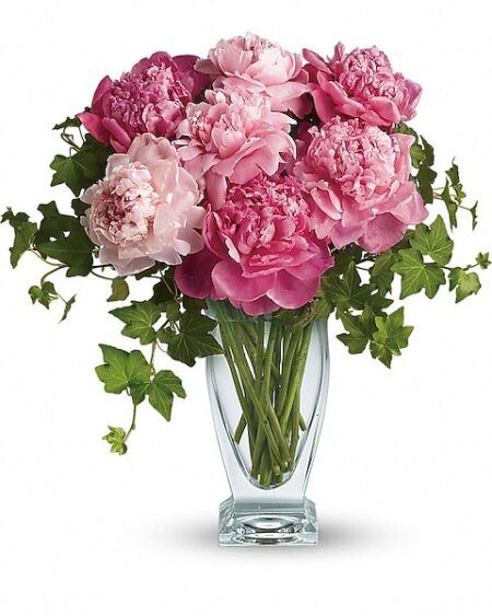 Perfect Peonies