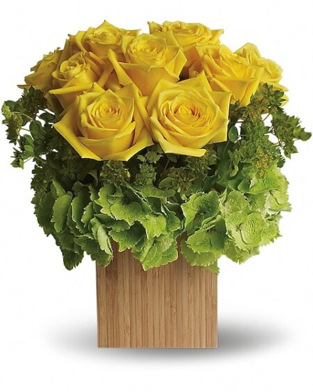 Box of Sunshine
